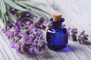 Primer plano de aceite de lavanda en una botella de vidrio en un fondo de flores frescas