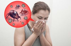 Read more about the article Alergia Ácaros del Polvo: Sintomas, Tratamentos e Prevenção