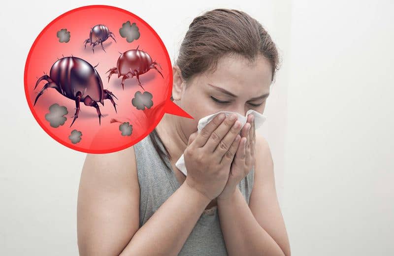 Read more about the article Alergia Ácaros del Polvo: Sintomas, Tratamentos e Prevenção