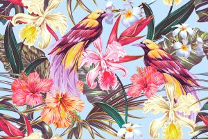 Read more about the article Aves — ¿Por qué las Aves son Tan Aagresivas