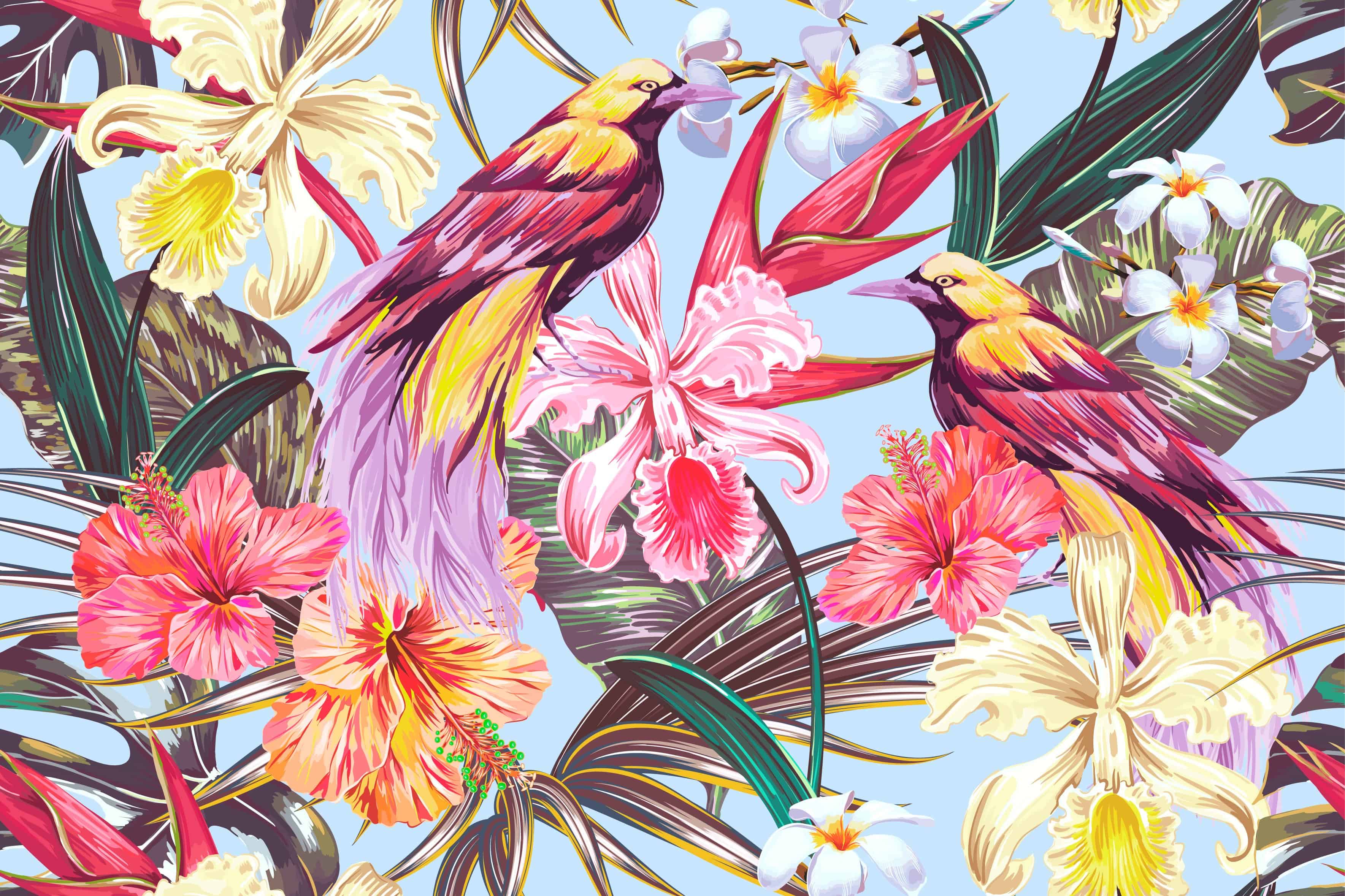 Read more about the article Aves — ¿Por qué las Aves son Tan Aagresivas