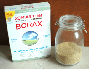 Read more about the article Bórax – el Asesino de Hormigas