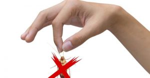Read more about the article 6 Recursos Efectivos en el Hogar para Matar a las Cucarachas (Naturalmente) 2018