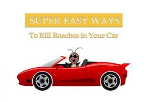 Read more about the article 4 Maneras Sencillas de Matar Cucarachas en tu Coche