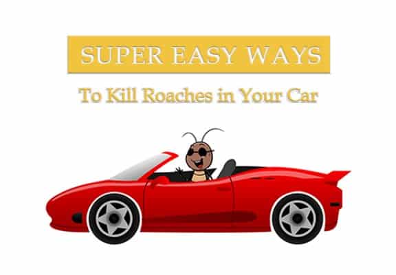 Read more about the article 4 Maneras Sencillas de Matar Cucarachas en tu Coche