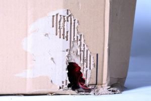 Daños en la caja causados por ratas