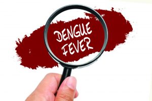 Read more about the article Mosquitos Que Amenazan a las Enfermedades: ¿Qué Debe Saber?