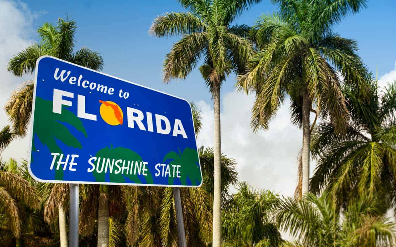 You are currently viewing Insectos en Florida