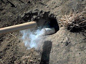 Fumigar el agujero de la marmota