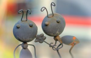 Read more about the article Top 6 DIY Trampas Para Hormigas Caseras (y Cómo Usarlas)