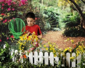 Read more about the article Beneficios Milagrosos de los Jardines de Mariposas para el Medio Ambiente
