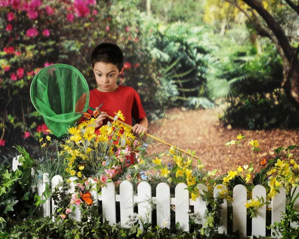 Read more about the article Beneficios Milagrosos de los Jardines de Mariposas para el Medio Ambiente