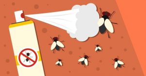 Read more about the article ¿Cuál es el Mejor Repelente de Mosquitos?