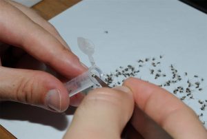 Read more about the article Las 20 Mejores Reseñas de Mosquiteros: una Guía Completa para el Comprador