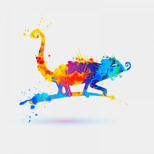 salpicaduras de pintura Camaleón
