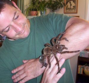 Pájaro goliat comiendo araña en el brazo del ser humano.