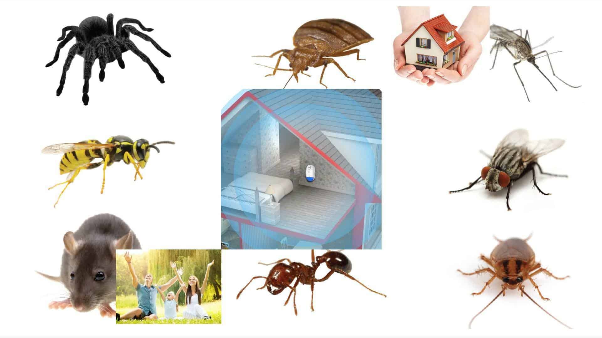 Read more about the article Pest Offense – Repelente Electrónico de Plagas