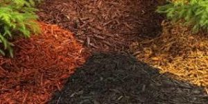 Tierra diatómica en el suelo