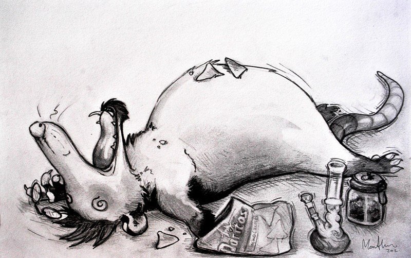 Read more about the article Zarigüeya Jugando: 8 Verdades Interesantes Detrás de Este Pequeño y Lindo Roedor
