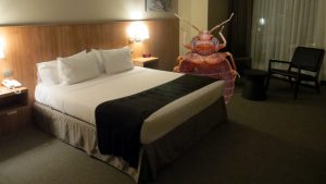 Read more about the article Consejos de Viaje: Qué Hacer si su Hotel tiene Chinches (2018）