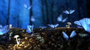 Read more about the article Todo sobre los Colores de Flores que las Mariposas Polinizan