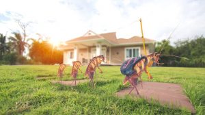 Read more about the article ¿De Dónde son las Cucarachas? – ¿Cómo y por qué?