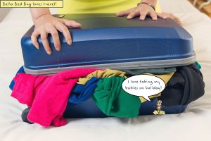 Read more about the article Chinches – Todo lo que Necesitas Saber sobre Chinches en el Equipaje