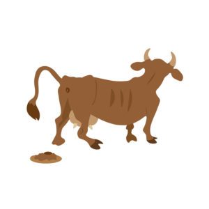 Una vaca de dibujos animados está cagando en el fondo blanco
