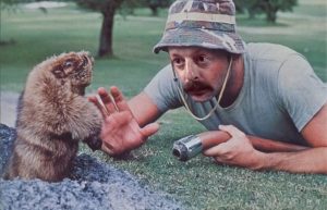 Read more about the article Gophers: Datos Generales e Interesantes y Cómo Deshacerse de Ellos