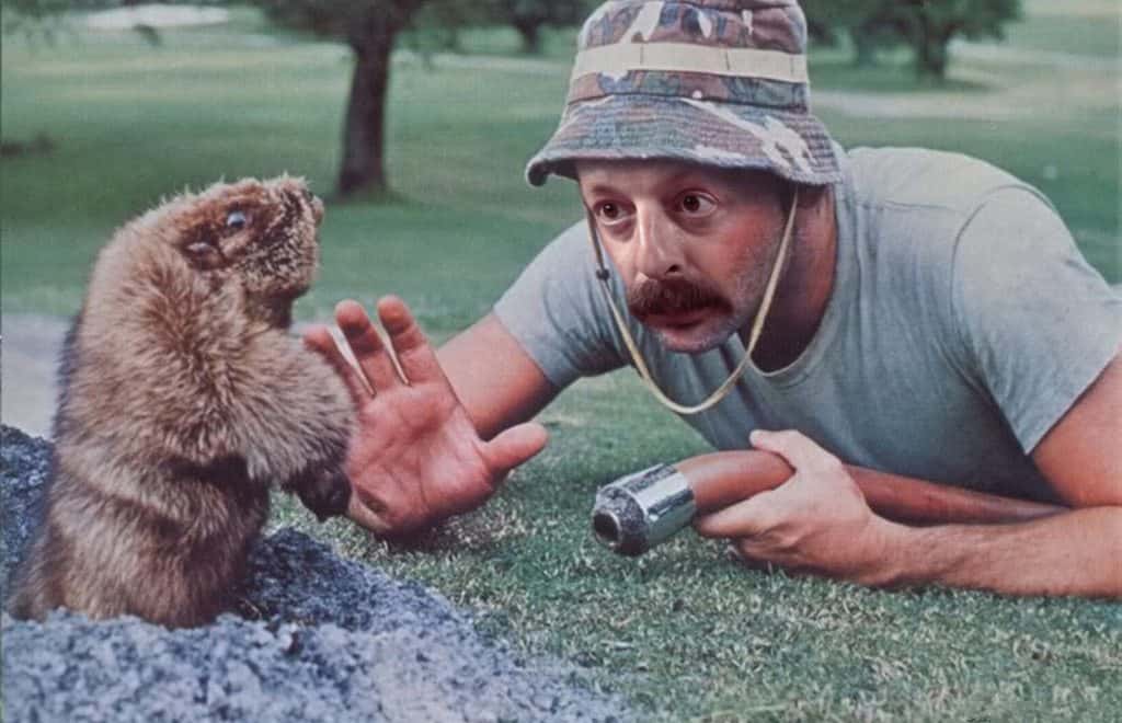 Read more about the article Gophers: Datos Generales e Interesantes y Cómo Deshacerse de Ellos