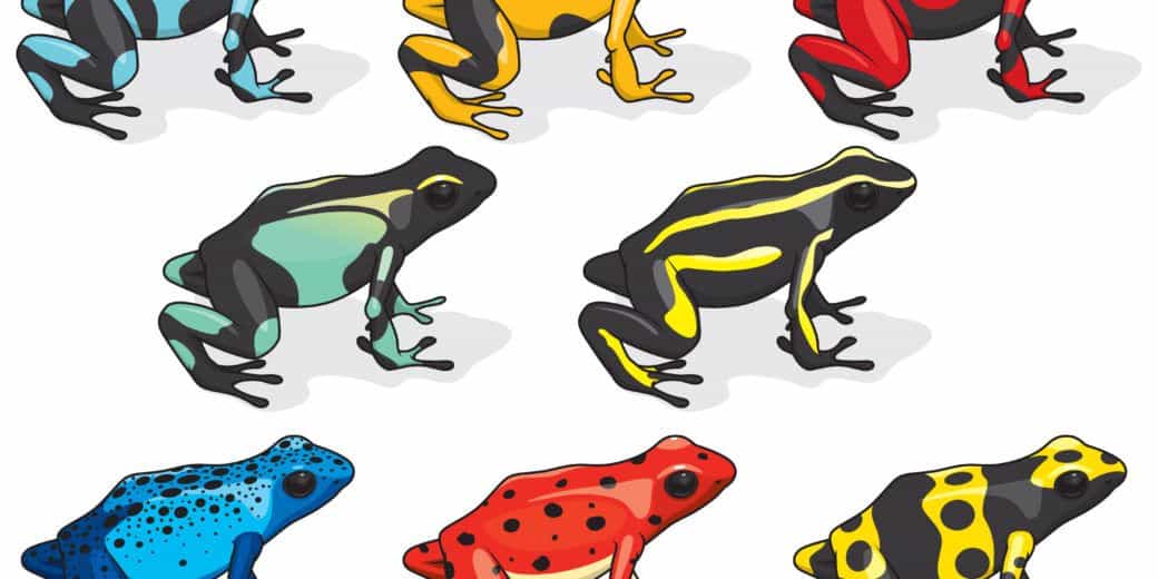 Read more about the article Ranas de Dardos Venenosas: Información Básica y los 10 Principales Hechos