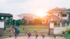 Read more about the article ¿Alguna vez te has Preguntado qué nos Atrae a las Cucarachas? Aquí está todo lo que Necesitas Saber sobre esta Plaga