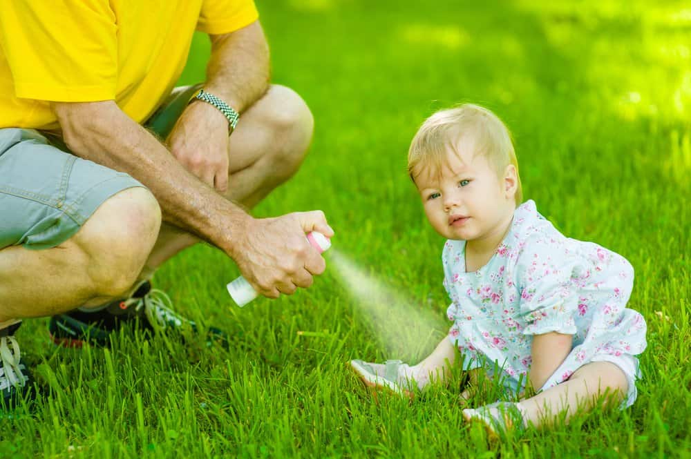 Read more about the article Todo lo que Necesitas Saber sobre Dónde Comprar Repelentes de Mosquitos?
