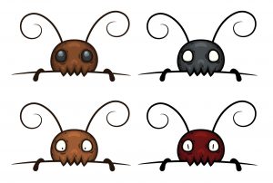 Read more about the article 5 Tipos de Termitas – Diferentes Tipos de Especies de Termitas