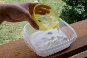 Poner agua en el tazón con borax